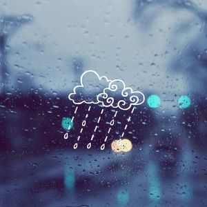 Meet your Posher, Alana